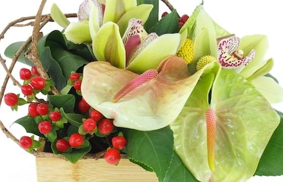 Composition Florale Carrée Verte "Aurora" 2 Composition Florale Carrée Verte "Aurora" – Image 2