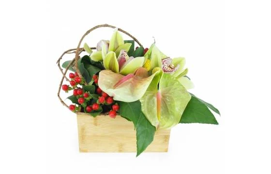 Composition Florale Carrée Verte "Aurora" 1 Composition Florale Carrée Verte "Aurora"