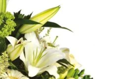 Composition Florale Pureté -Boutique Fleur Deuil composition florale purete 2