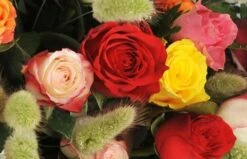 Composition Piquée De Deuil Florever -Boutique Fleur Deuil composition piquee de deuil florever 2