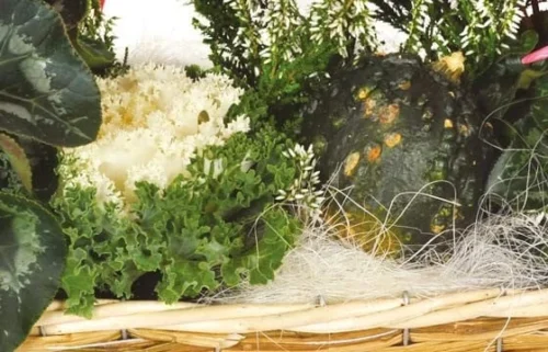 Composition Plantes Vertes & Fleuries Etincelle 5 Composition Plantes Vertes & Fleuries Etincelle -Boutique Fleur Deuil composition plantes vertes fleuries etincelle 2