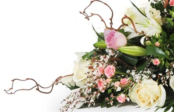 Composition Pour Un Enterrement Equinoxe 3 Composition Pour Un Enterrement Equinoxe â Image 3