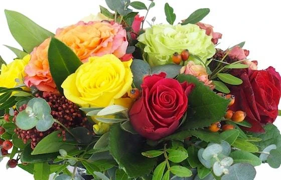 Composition Roses Colorées "El Paso" 2 Composition Roses Colorées "El Paso" – Image 2