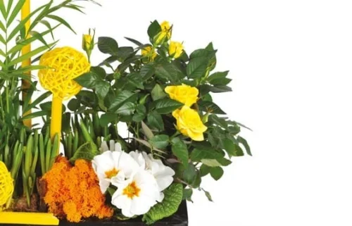 Coupe De Plante Le Jardin D'Abel 5 Coupe De Plante Le Jardin D'Abel -Boutique Fleur Deuil coupe de plante le jardin d abel 2