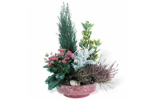 Coupe De Plantes Vertes & Fleuries "Adieu Eternel"