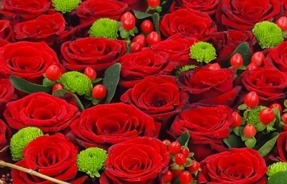 Coussin De Roses Rouges "Éros" 2 Coussin De Roses Rouges "Éros" – Image 2