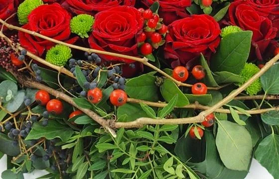 Coussin De Roses Rouges "Éros" 3 Coussin De Roses Rouges "Éros" – Image 3