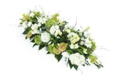 Dessus De Cercueil Blanc & Vert "Ulysse"