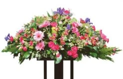 Fleurs De Deuil Solstice