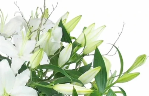 Grand Bouquet De Lys Blanc "Syracuse" 5 Grand Bouquet De Lys Blanc "Syracuse" -Boutique Fleur Deuil grand bouquet de lys blanc syracuse 2