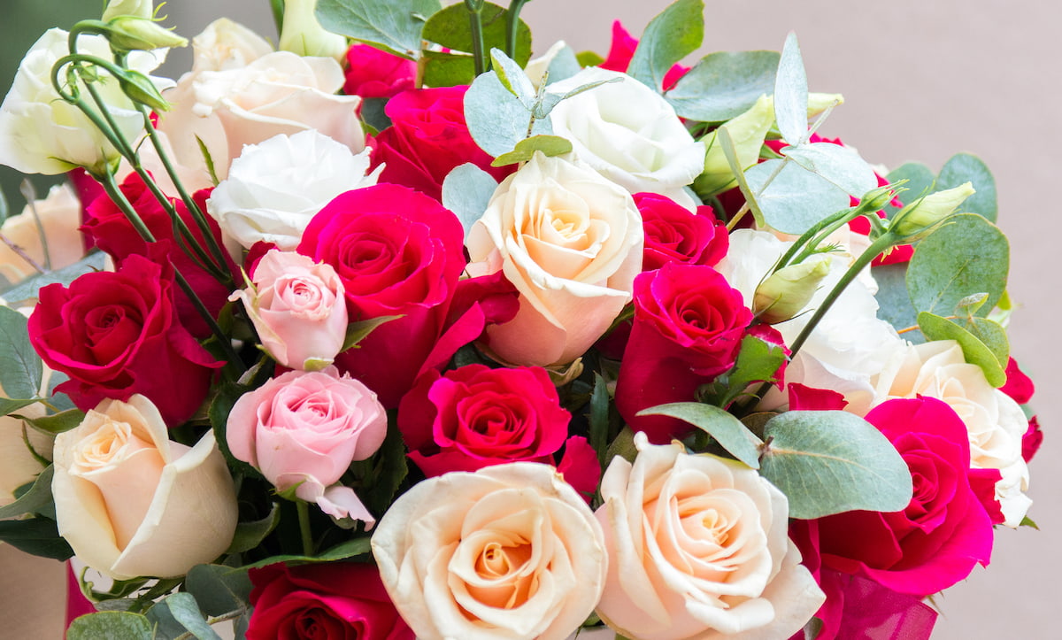 Boutique Fleur Deuil -Boutique Fleur Deuil langage des roses min