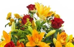 Raquette De Deuil Orange & Rouge "Hélios" -Boutique Fleur Deuil raquette de deuil orange rouge helios 2