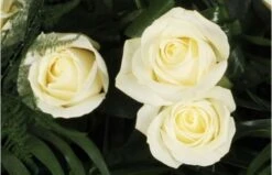Raquette De Roses Blanches L'Ange Gardien -Boutique Fleur Deuil raquette de roses blanches l ange gardien 2