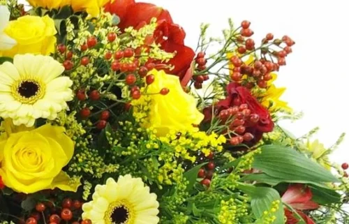 Raquette Fleurs Colorées "Thucydide" -Boutique Fleur Deuil raquette fleurs colorees thucydide 2