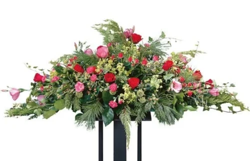 Raquette Rouges & Roses Crépuscule