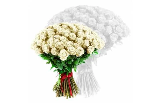 Roses Blanches Courtes Tiges 1 Roses Blanches Courtes Tiges